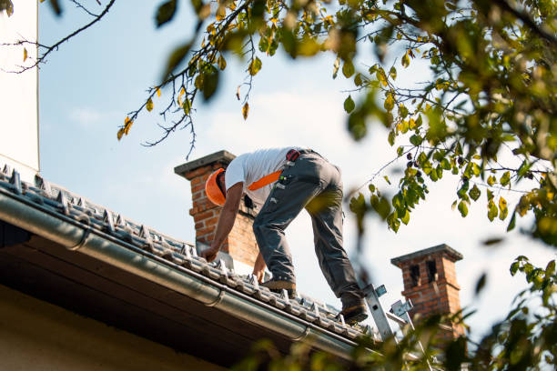 Best Flat Roofing  in Berrien Springs, MI