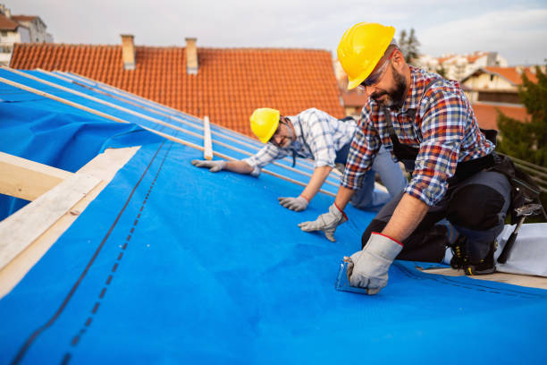 Best Metal Roofing Installation  in Berrien Springs, MI