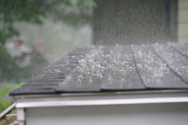 Best Commercial Roofing Services  in Berrien Springs, MI