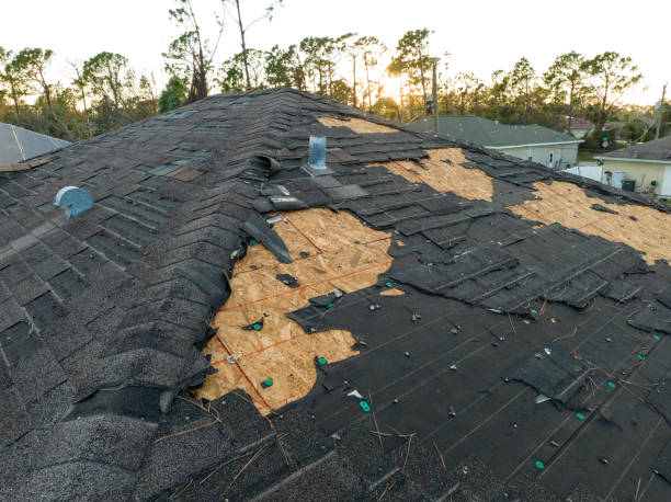 Best Wood Shake Roofing  in Berrien Springs, MI